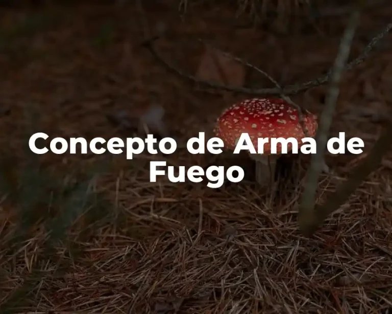 Concepto de Arma de Fuego