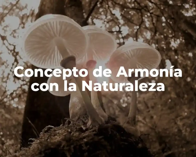 Concepto de Armonía con la Naturaleza