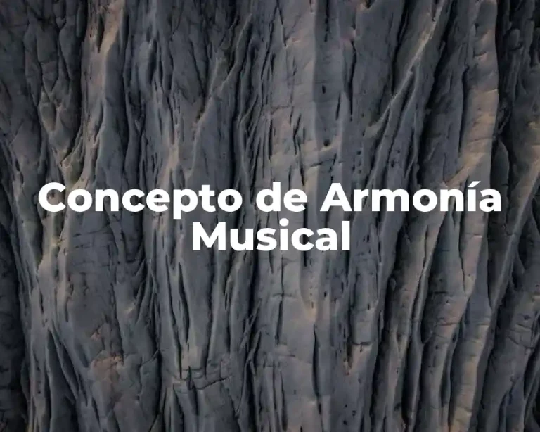 Concepto de Armonía Musical