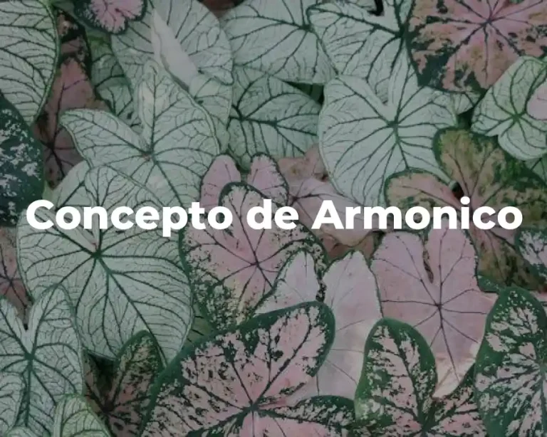 Concepto de Armonico