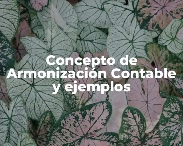 Concepto de Armonización Contable y ejemplos