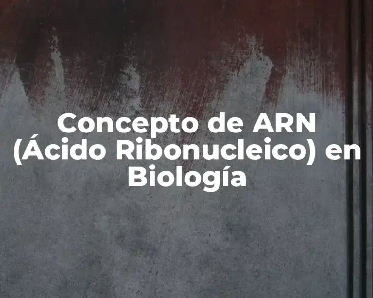 Concepto de ARN (Ácido Ribonucleico) en Biología