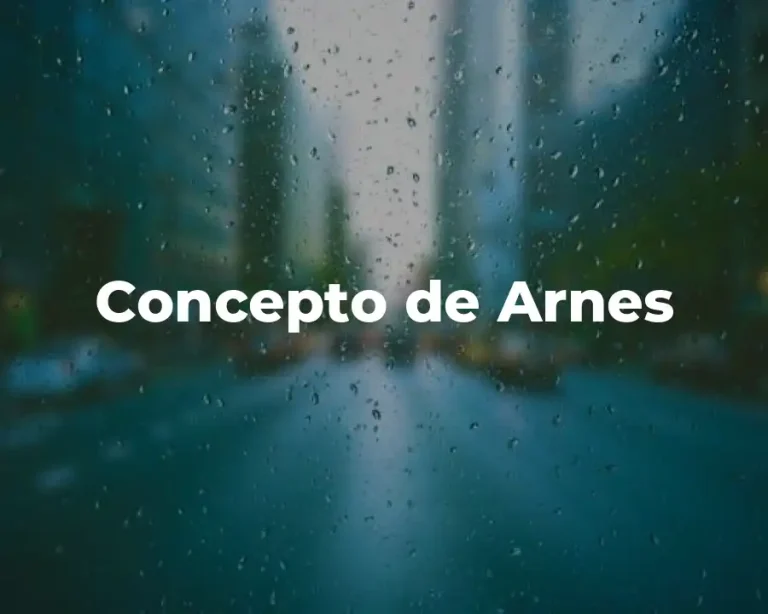 Concepto de Arnes