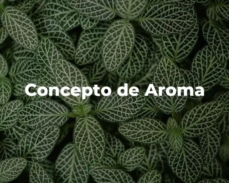 Concepto de Aroma