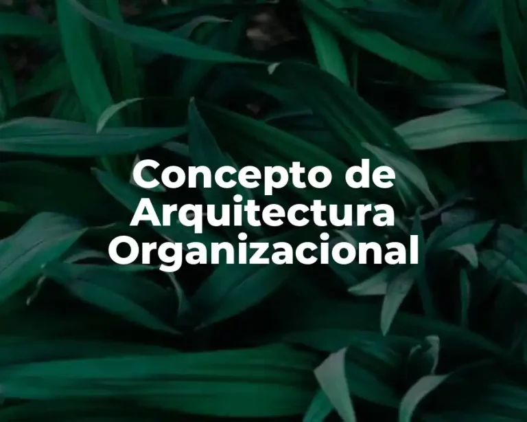 Concepto de Arquitectura Organizacional