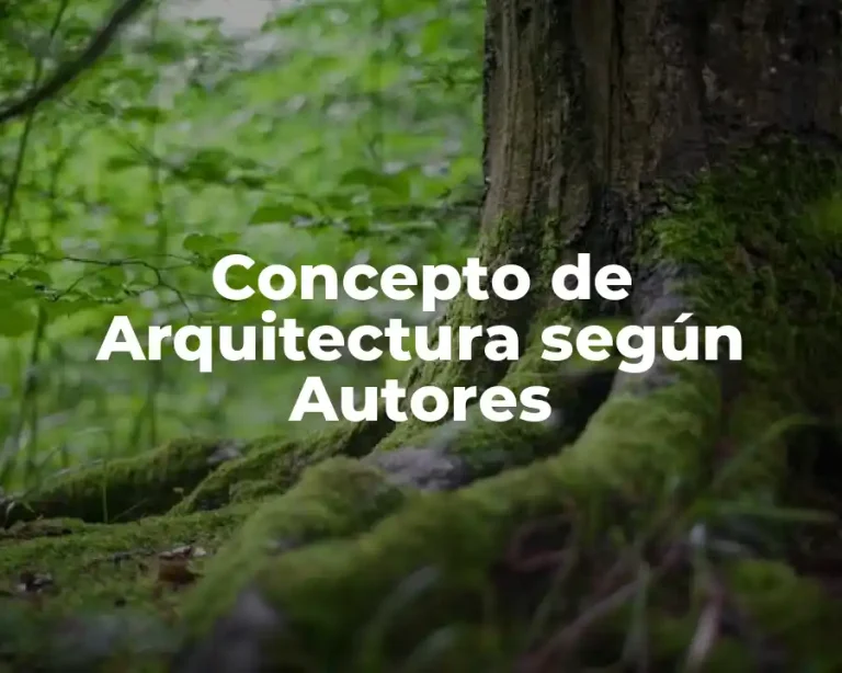 Concepto de Arquitectura según Autores