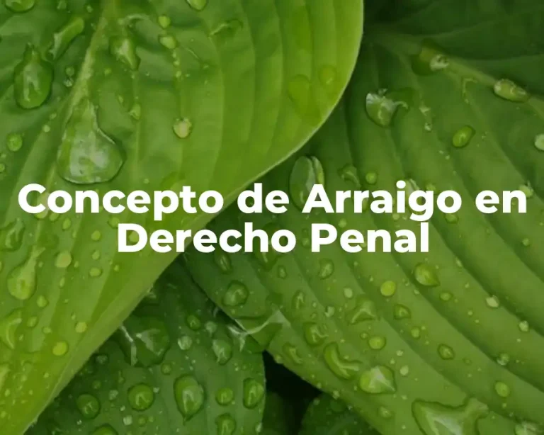 Concepto de Arraigo en Derecho Penal