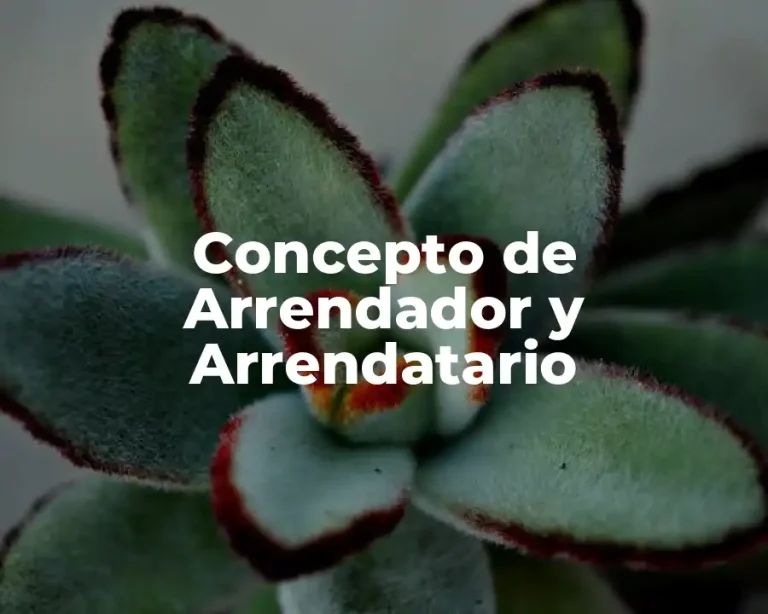 Concepto de Arrendador y Arrendatario