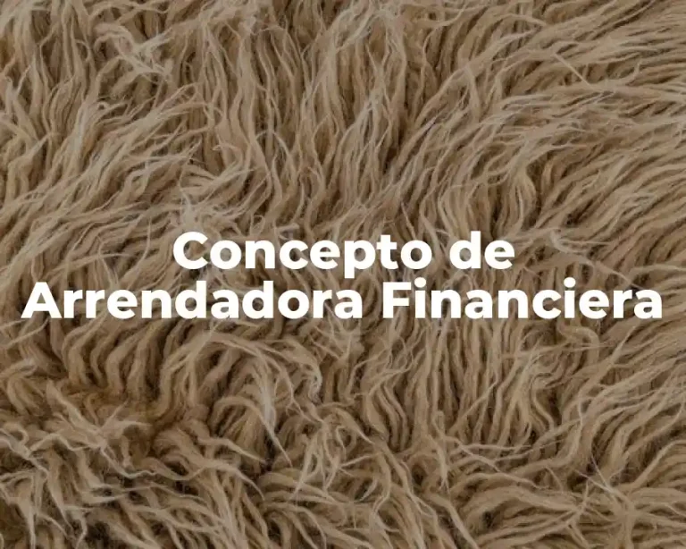 Concepto de Arrendadora Financiera