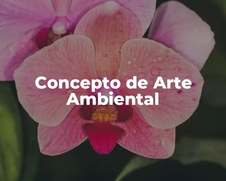 Concepto de Arte Ambiental