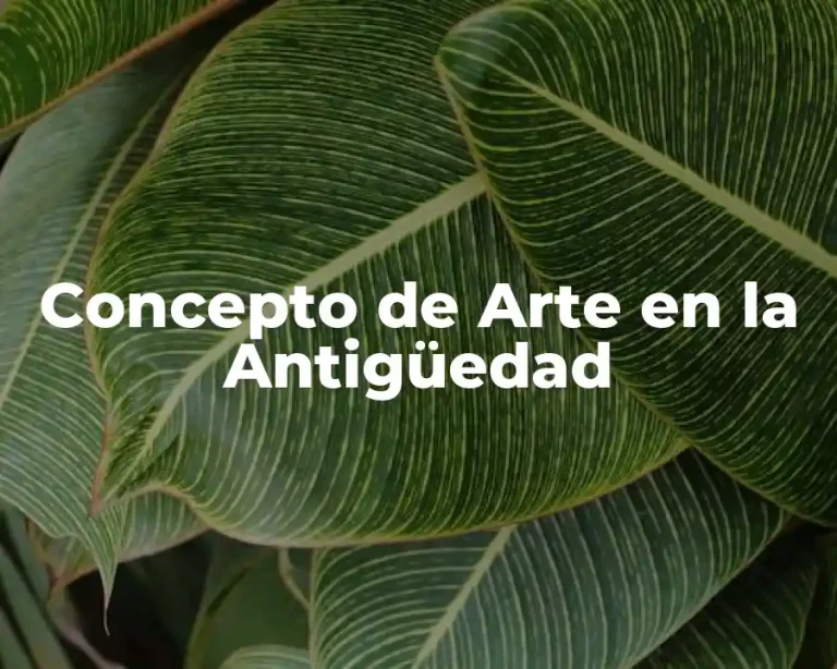 Concepto de Arte en la Antigüedad