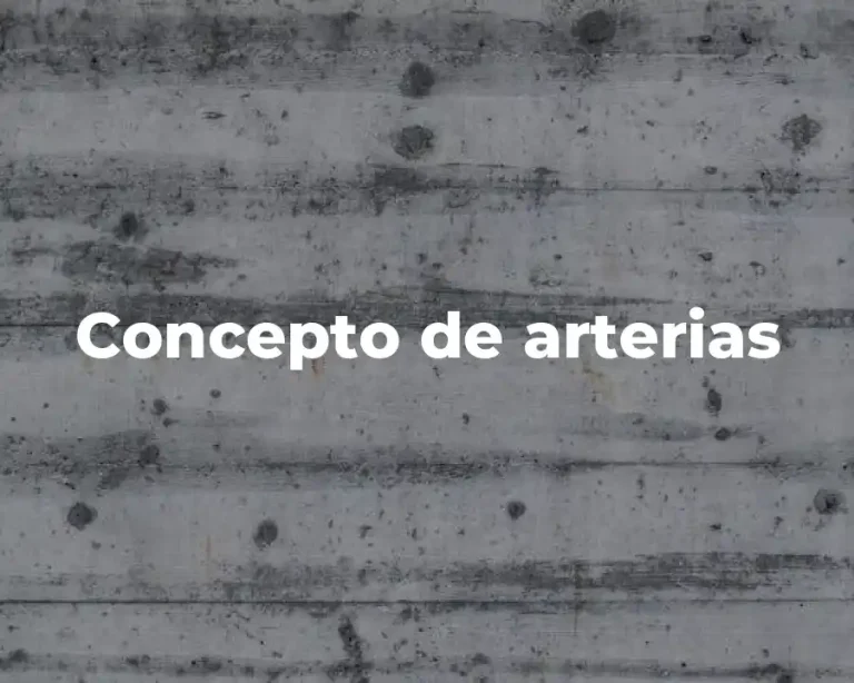 Concepto de arterias