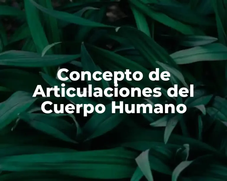 Concepto de Articulaciones del Cuerpo Humano