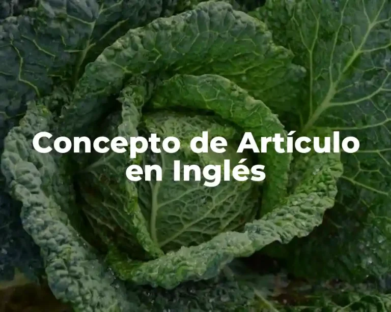 Concepto de Artículo en Inglés