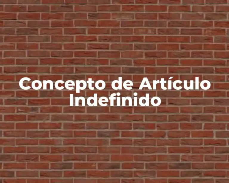 Concepto de Artículo Indefinido
