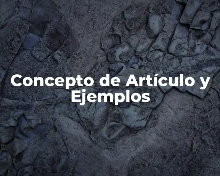 Concepto de Artículo y Ejemplos