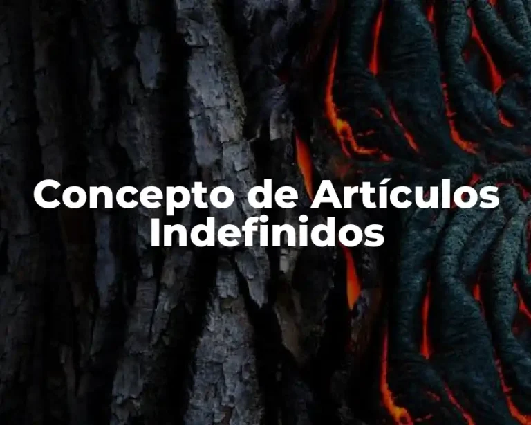 Concepto de Artículos Indefinidos