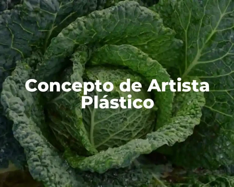 Concepto de Artista Plástico