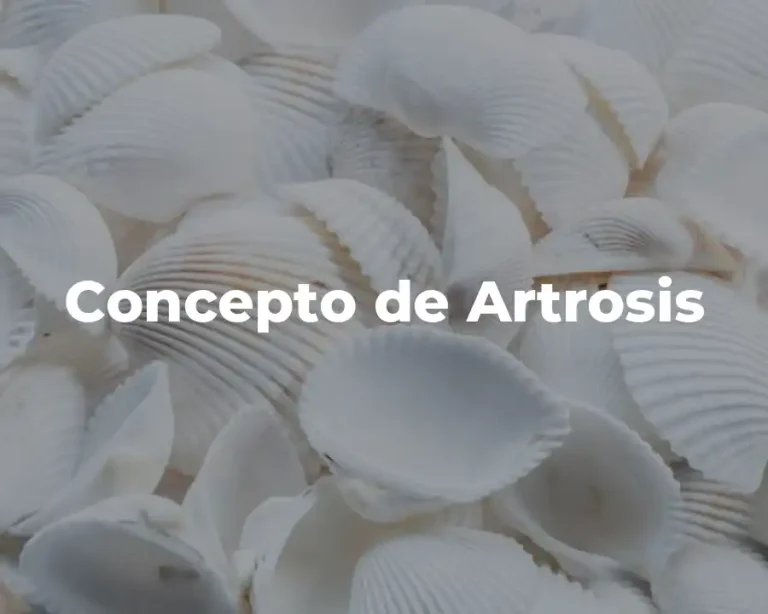 Concepto de Artrosis