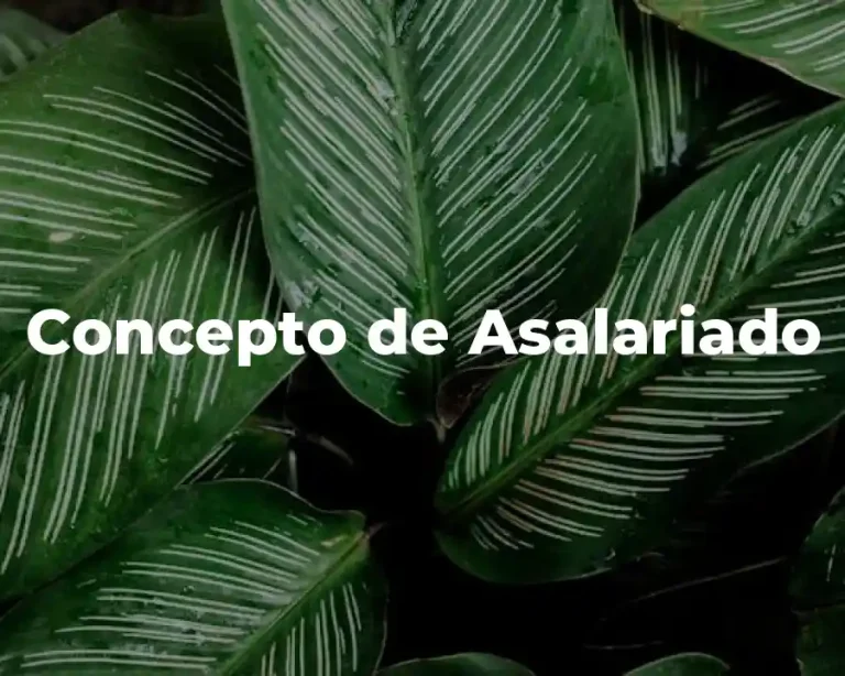 Concepto de Asalariado