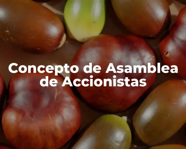 Concepto de Asamblea de Accionistas