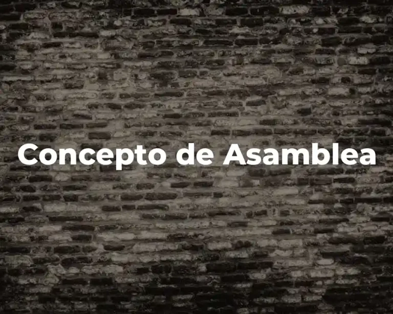 Concepto de Asamblea