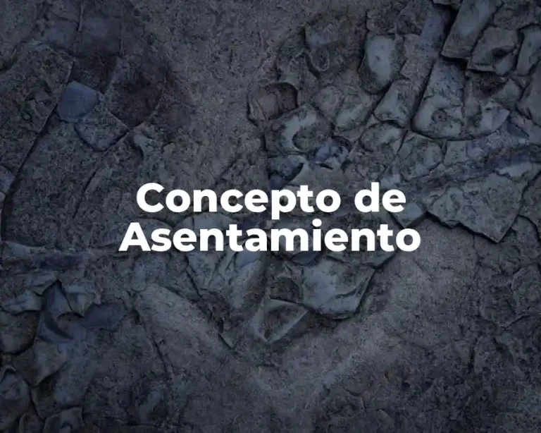 Concepto de Asentamiento