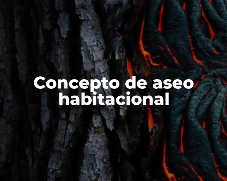 Concepto de aseo habitacional