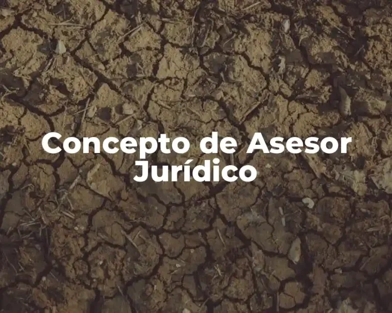 Concepto de Asesor Jurídico