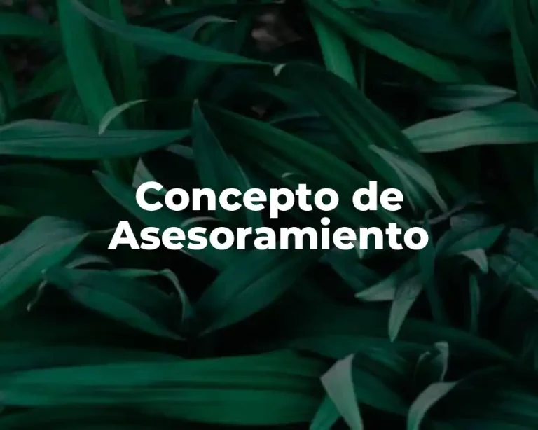Concepto de Asesoramiento