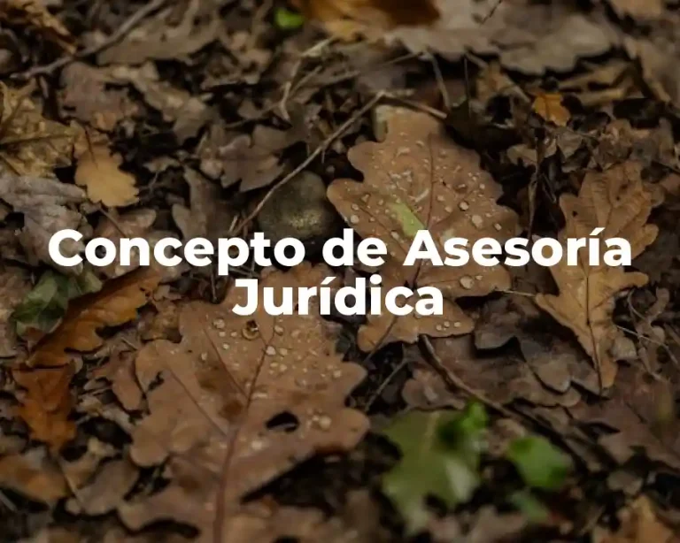 Concepto de Asesoría Jurídica