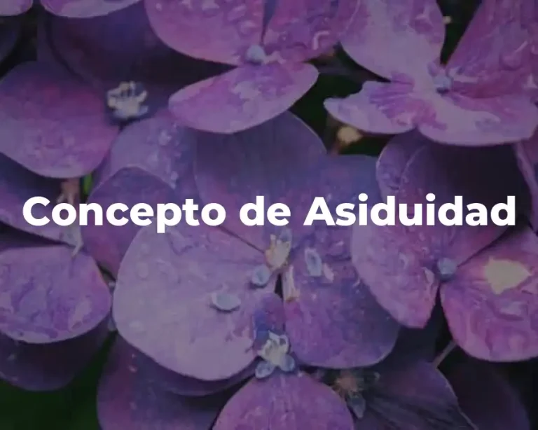 Concepto de Asiduidad