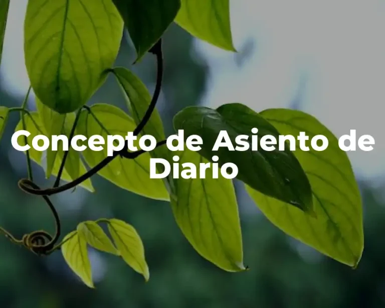 Concepto de Asiento de Diario