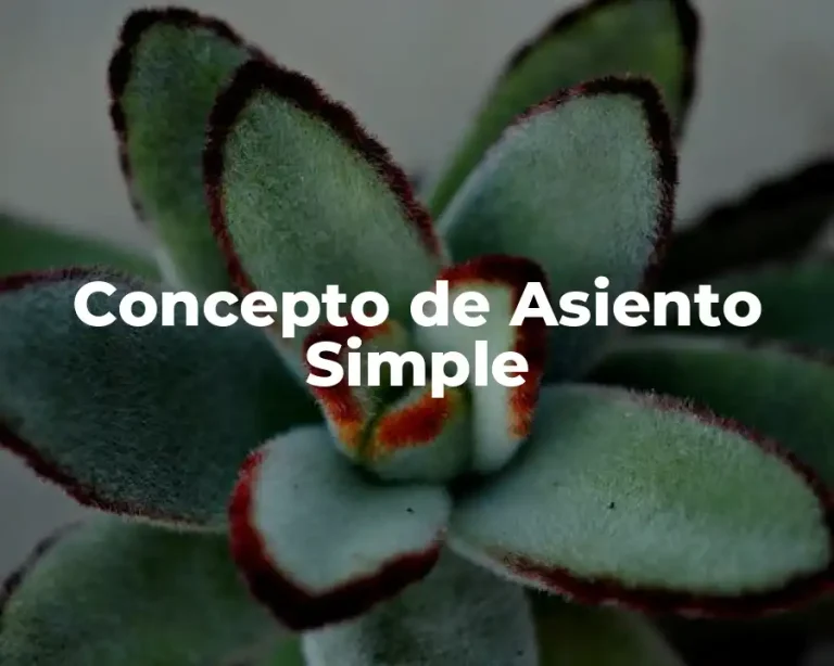 Concepto de Asiento Simple