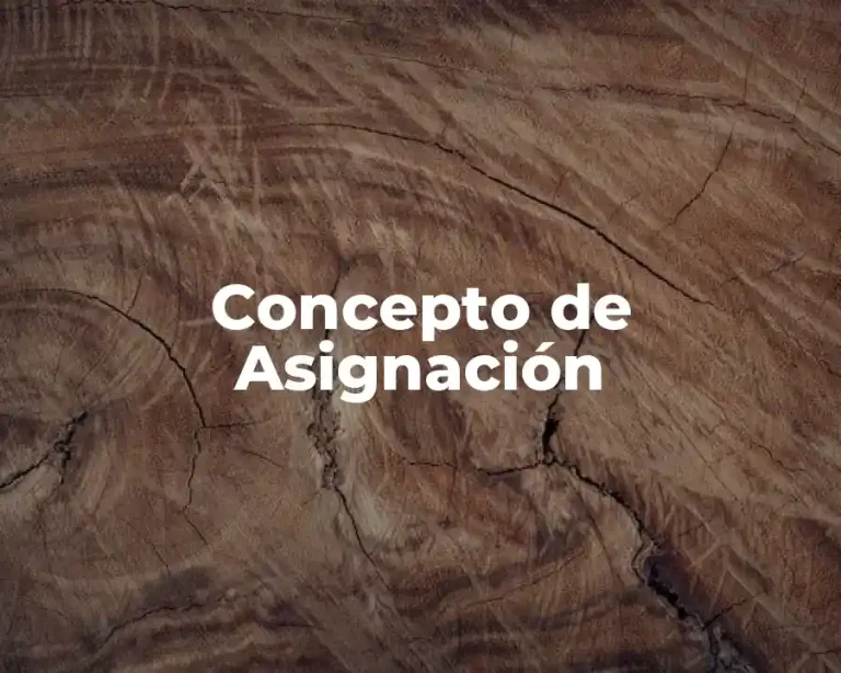 Concepto de Asignación