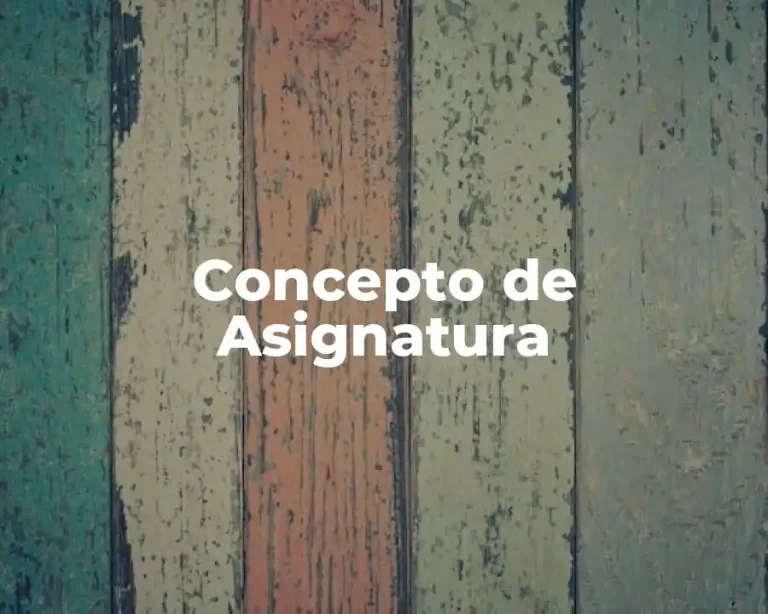 Concepto de Asignatura