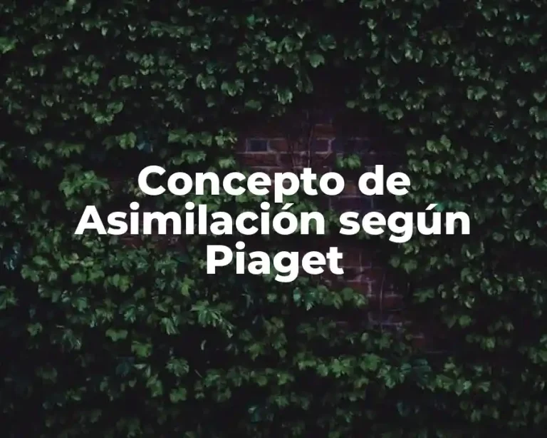 Concepto de Asimilación según Piaget