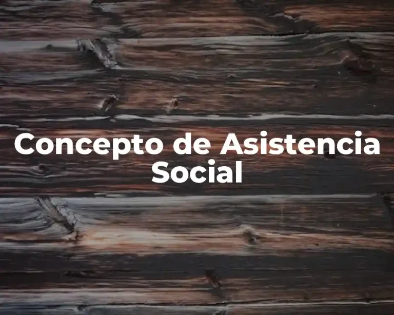 Concepto de Asistencia Social