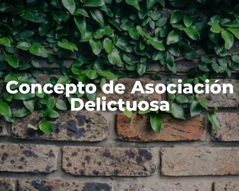Concepto de Asociación Delictuosa