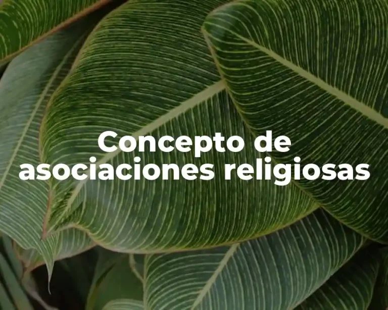 Concepto de asociaciones religiosas