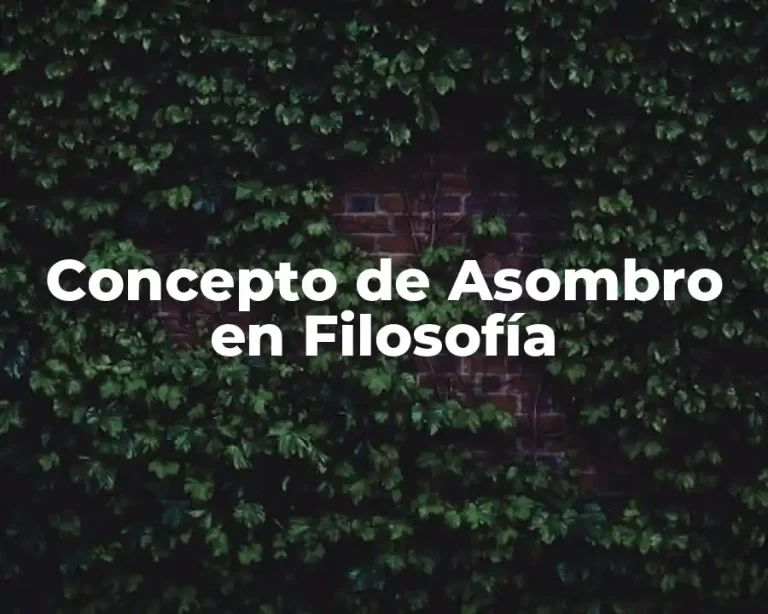Concepto de Asombro en Filosofía