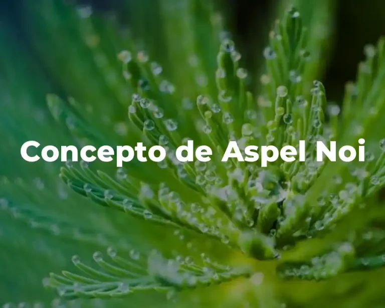 Concepto de Aspel Noi