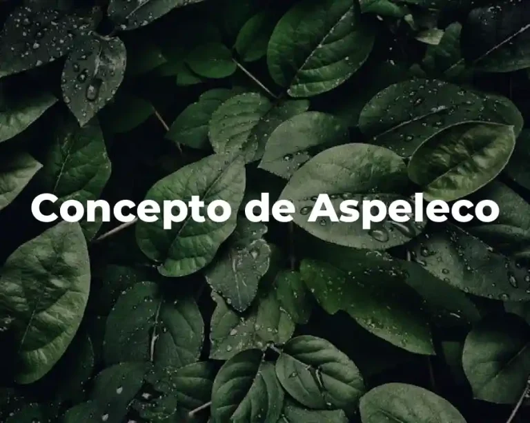 Concepto de Aspeleco