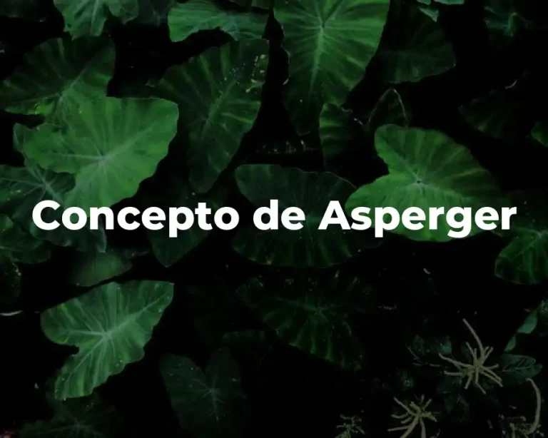 Concepto de Asperger