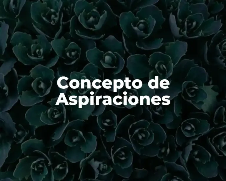 Concepto de Aspiraciones