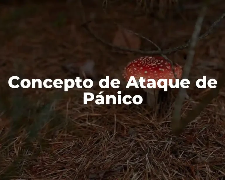 Concepto de Ataque de Pánico