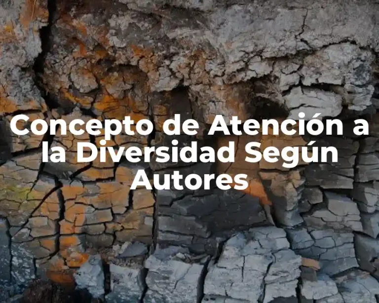 Concepto de Atención a la Diversidad Según Autores