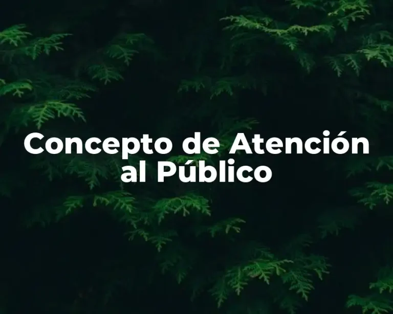 Concepto de Atención al Público