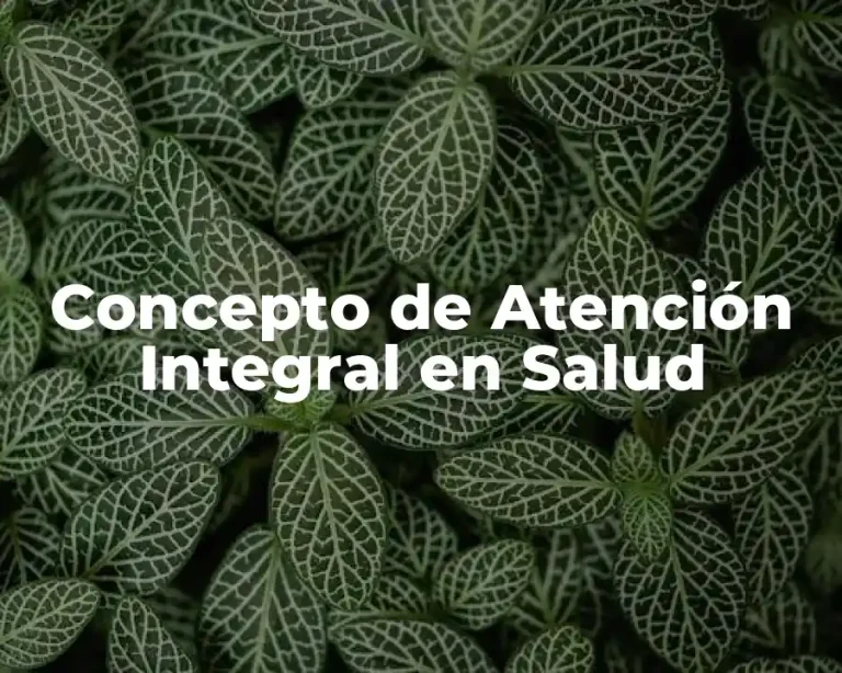 Concepto de Atención Integral en Salud
