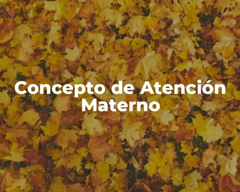 Concepto de Atención Materno